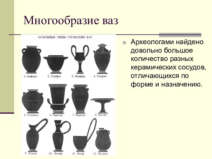 Многообразие ваз Археологами найдено довольно большое количество разных керамических сосудов, отличающихся по форме и назначению.