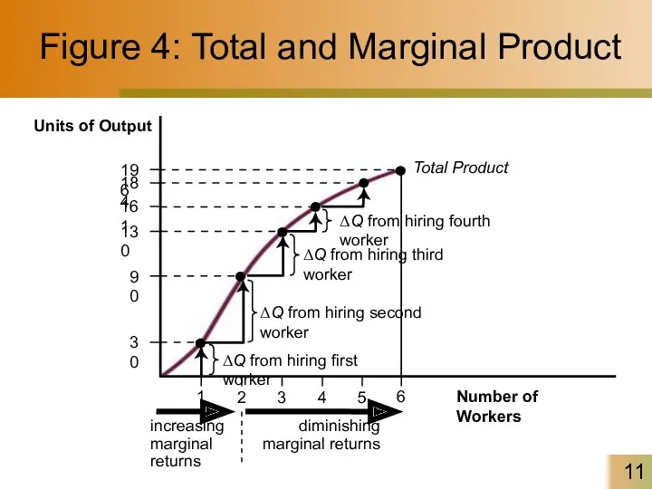 Figure 4: Total and Marginal Product 30 90 130 161