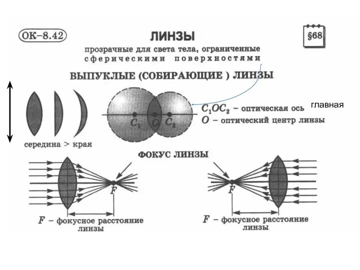 главная