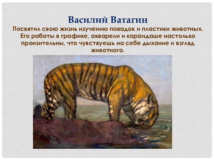 Василий Ватагин Посвятил свою жизнь изучению повадок и пластики животных.