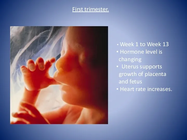 First trimester. Week 1 to Week 13 Hormone level is