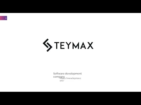 TETMAX Software development company