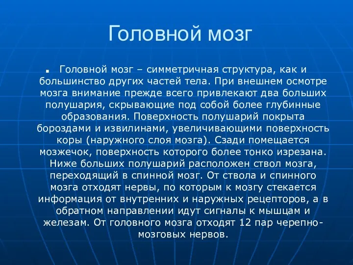 Головной мозг Головной мозг – симметричная структура, как и большинство других частей тела.