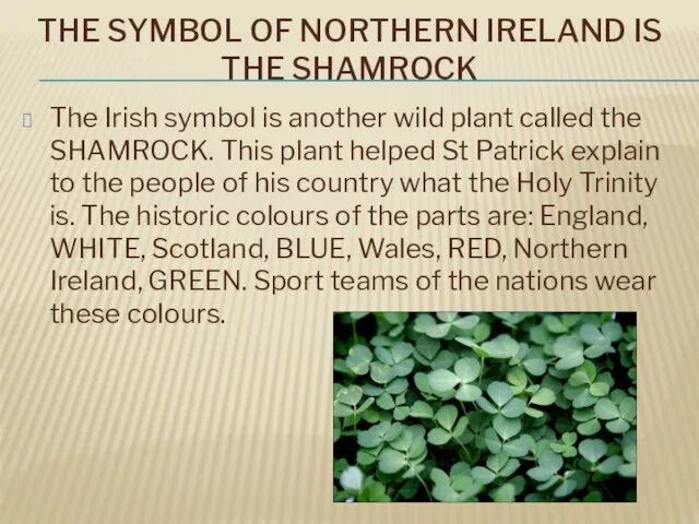 THE SYMBOL OF NORTHERN IRELAND IS THE SHAMROCK The Irish symbol is another