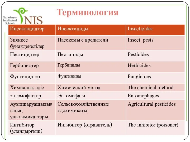 Терминология