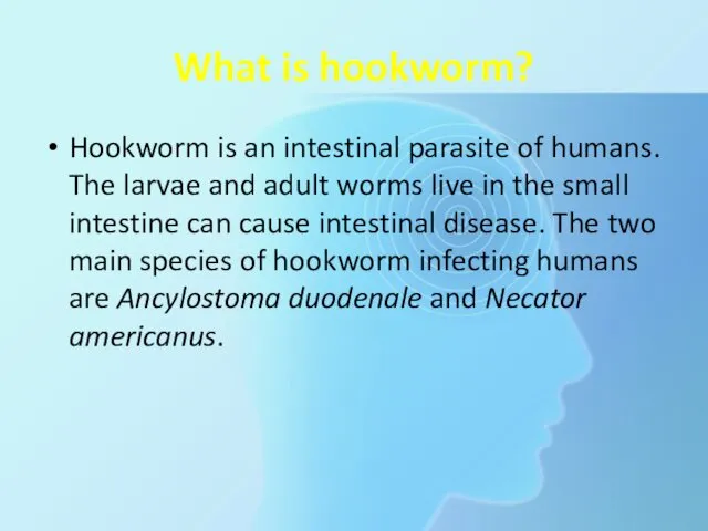 What is hookworm? Hookworm is an intestinal parasite of humans. The larvae and