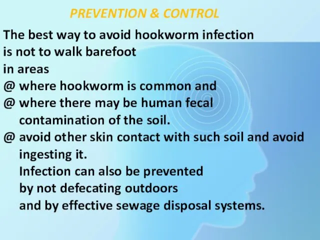 The best way to avoid hookworm infection is not to walk barefoot in