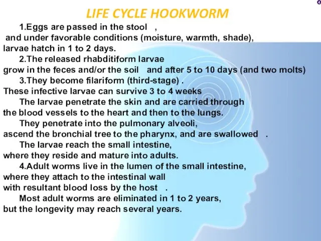 1.Eggs are passed in the stool , and under favorable