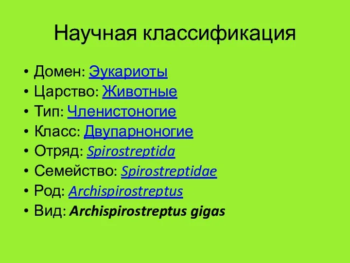 Научная классификация Домен: Эукариоты Царство: Животные Тип: Членистоногие Класс: Двупарноногие