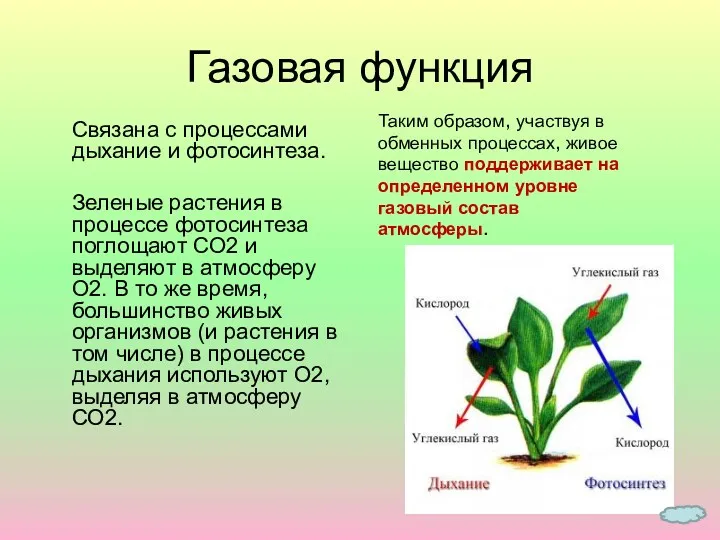 Связана с процессами дыхание и фотосинтеза. Зеленые растения в процессе