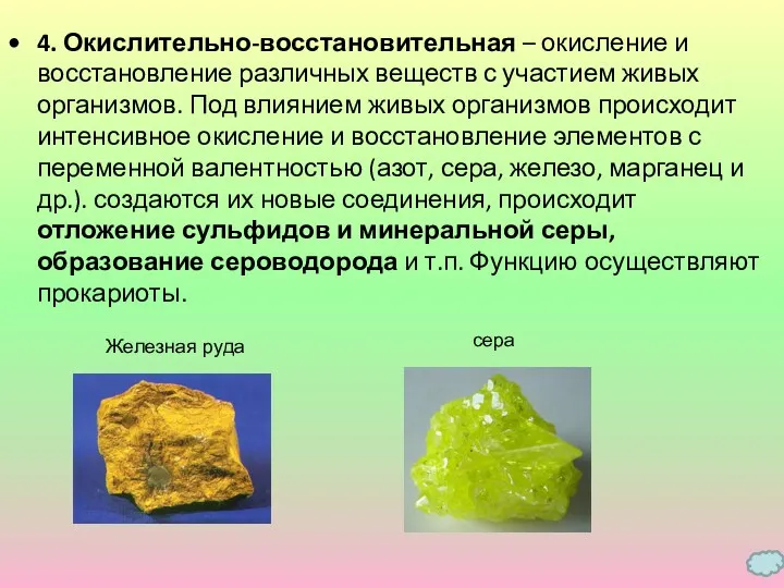 4. Окислительно-восстановительная – окисление и восстановление различных веществ с участием