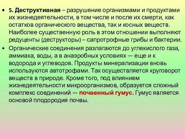 5. Деструктивная – разрушение организмами и продуктами их жизнедеятельности, в