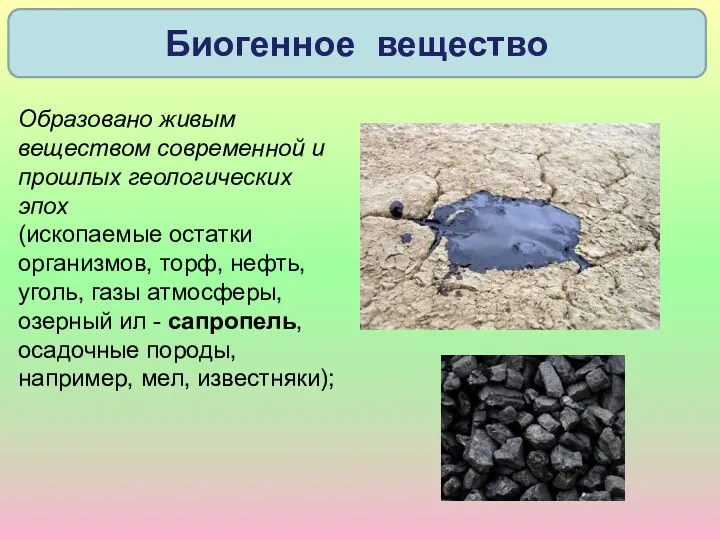 Образовано живым веществом современной и прошлых геологических эпох (ископаемые остатки