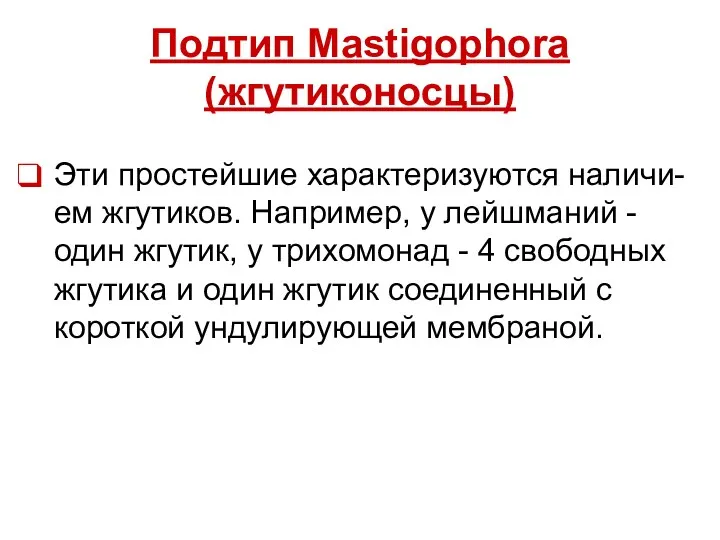 Подтип Mastigophora (жгутиконосцы) Эти простейшие характеризуются наличи- ем жгутиков. Например,