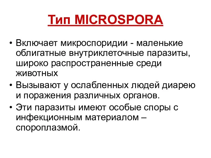 Тип MICROSPORA Включает микроспоридии - маленькие облигатные внутриклеточные паразиты, широко