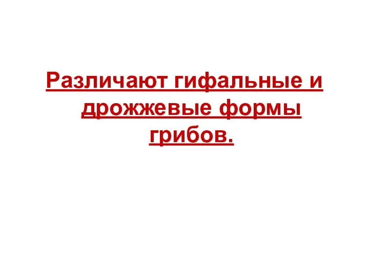 Различают гифальные и дрожжевые формы грибов.