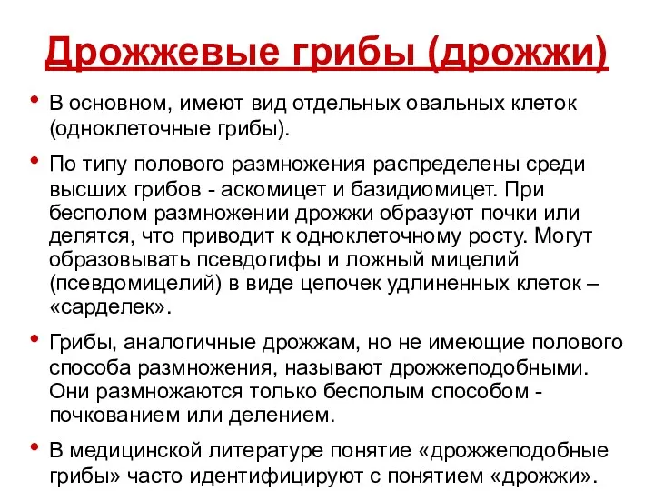 Дрожжевые грибы (дрожжи) В основном, имеют вид отдельных овальных клеток