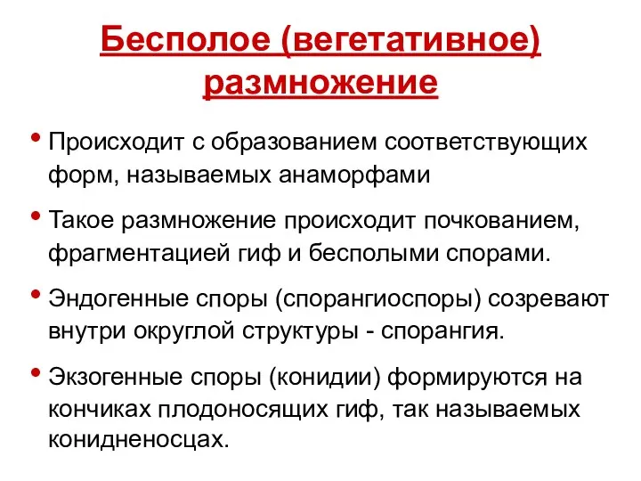 Бесполое (вегетативное) размножение Происходит с образованием соответствующих форм, называемых анаморфами