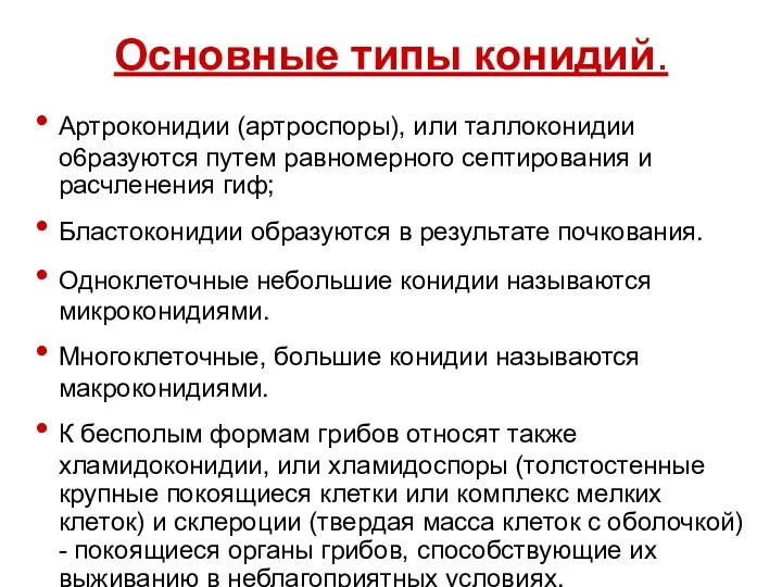 Основные типы конидий. Артроконидии (артроспоры), или таллоконидии о6разуются путем равномерного