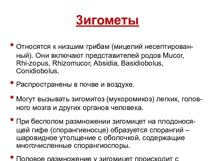 3игометы Относятся к низшим грибам (мицелий несептирован-ный). Они включают представителей