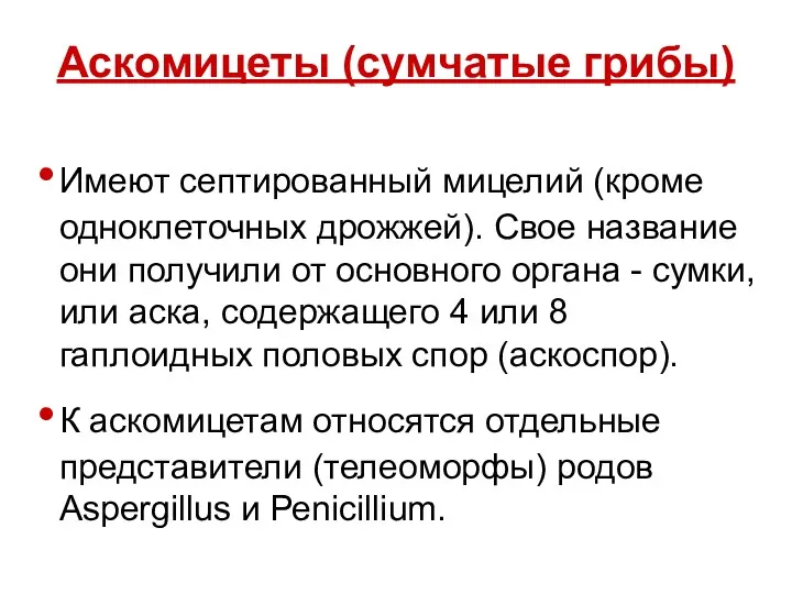 Аскомицеты (сумчатые грибы) Имеют септированный мицелий (кроме одноклеточных дрожжей). Свое