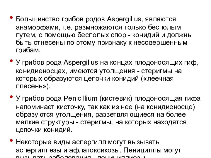 Большинство грибов родов Aspergillus, являются анаморфами, т.е. размножаются только бесполым