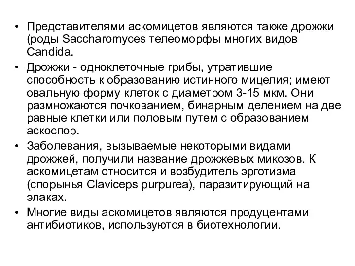 Представителями аскомицетов являются также дрожжи (роды Saccharomyces телеоморфы многих видов