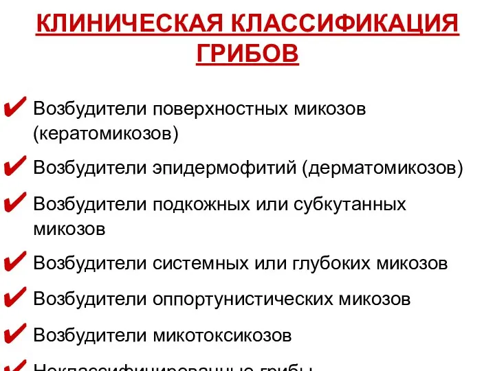 КЛИНИЧЕСКАЯ КЛАССИФИКАЦИЯ ГРИБОВ Возбудители поверхностных микозов (кератомикозов) Возбудители эпидермофитий (дерматомикозов)