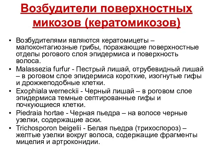 Возбудители поверхностных микозов (кератомикозов) Возбудителями являются кератомицеты – малоконтагиозные грибы,