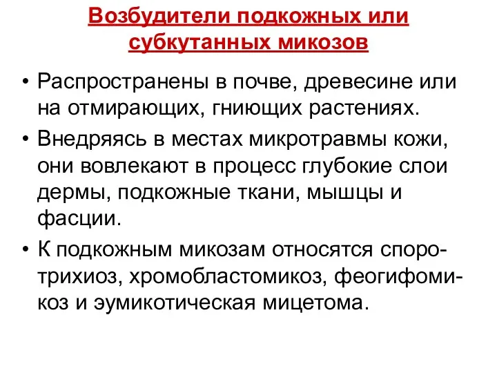 Возбудители подкожных или субкутанных микозов Распространены в почве, древесине или