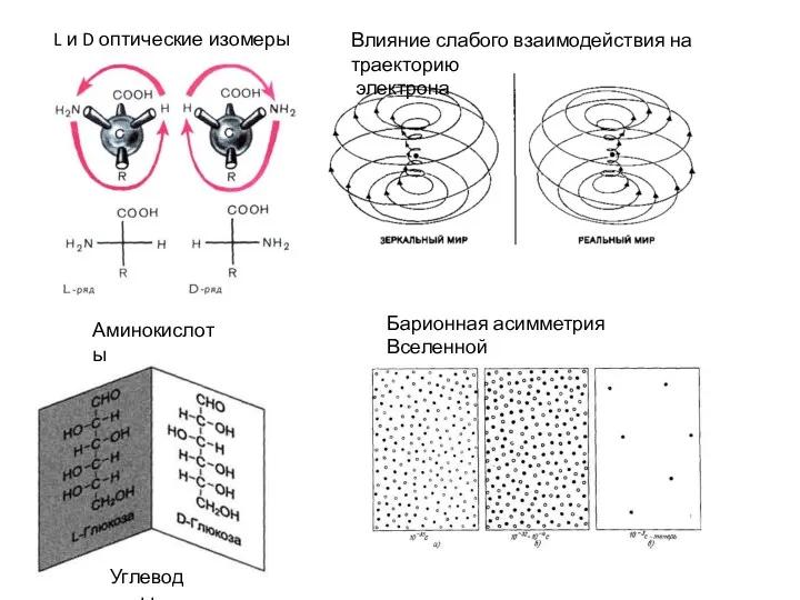 L и D оптические изомеры Влияние слабого взаимодействия на траекторию электрона Барионная асимметрия Вселенной Аминокислоты Углеводы