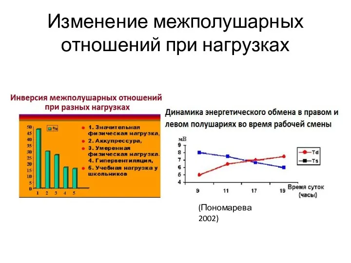 (Пономарева 2002) Изменение межполушарных отношений при нагрузках