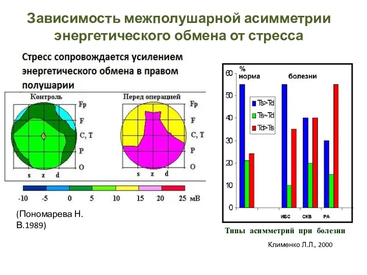 Зависимость межполушарной асимметрии энергетического обмена от стресса Типы асимметрий при болезни Клименко Л.Л., 2000 (Пономарева Н.В.1989)