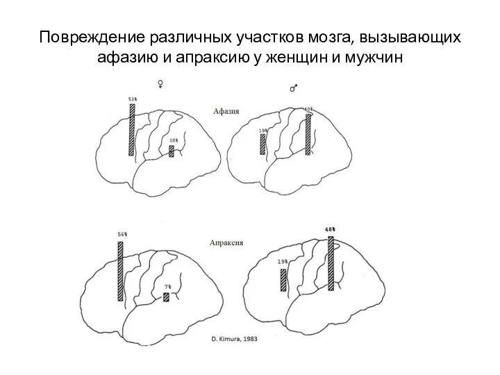 Повреждение различных участков мозга, вызывающих афазию и апраксию у женщин и мужчин