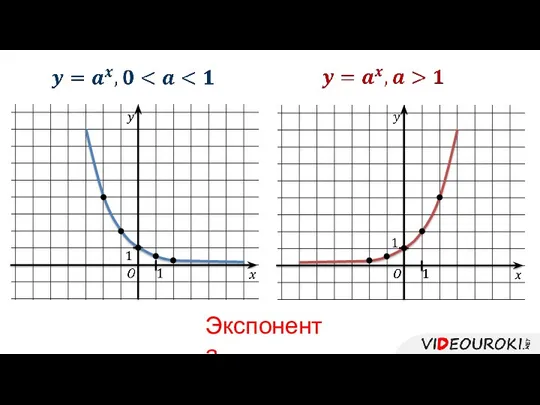 Экспонента