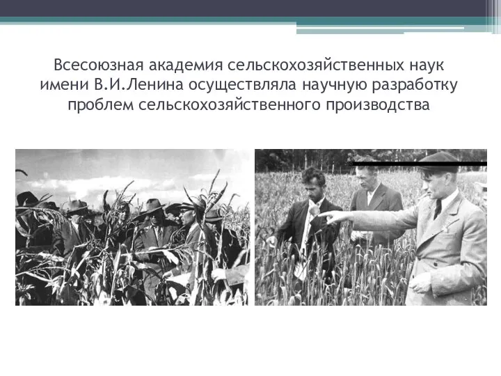 Всесоюзная академия сельскохозяйственных наук имени В.И.Ленина осуществляла научную разработку проблем сельскохозяйственного производства