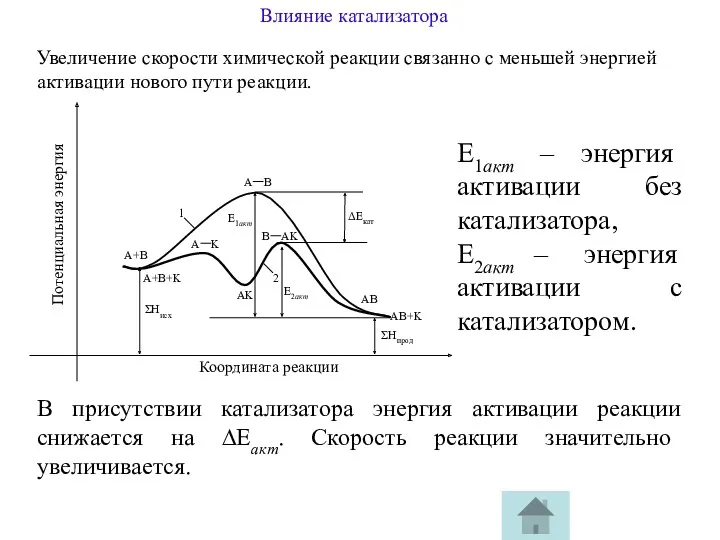 Увеличение скорости химической реакции связанно с меньшей энергией активации нового