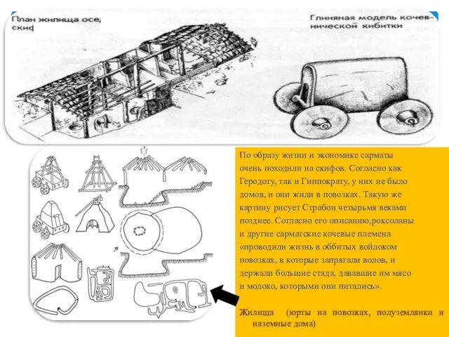 По образу жизни и экономике сарматы очень походили на скифов.