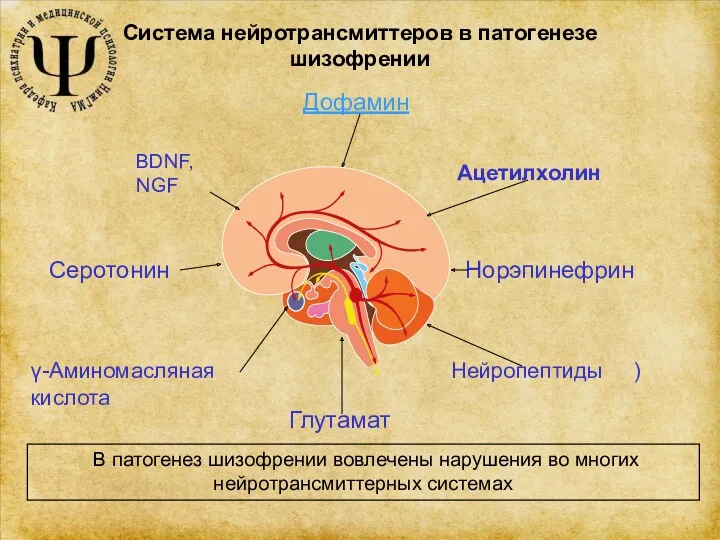 Система нейротрансмиттеров в патогенезе шизофрении Ацетилхолин Дофамин Норэпинефрин Нейропептиды )