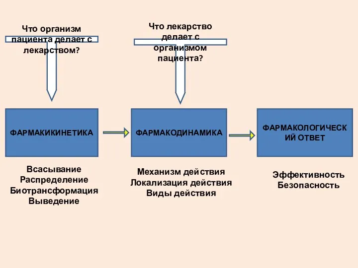 ФАРМАКИКИНЕТИКА ФАРМАКОДИНАМИКА ФАРМАКОЛОГИЧЕСКИЙ ОТВЕТ Всасывание Распределение Биотрансформация Выведение Механизм действия