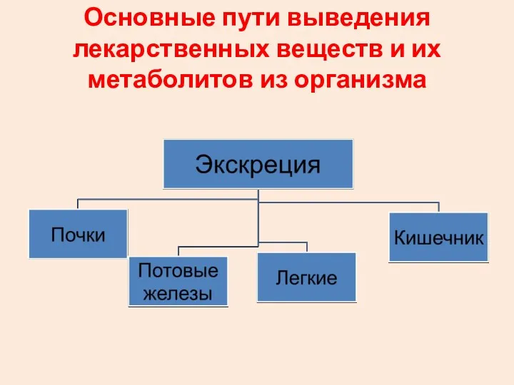 Основные пути выведения лекарственных веществ и их метаболитов из организма