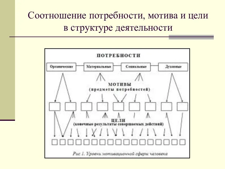 Соотношение потребности, мотива и цели в структуре деятельности