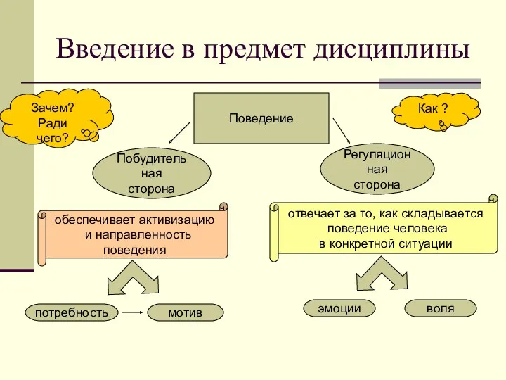 Введение в предмет дисциплины Поведение Побудительная сторона Регуляционная сторона обеспечивает