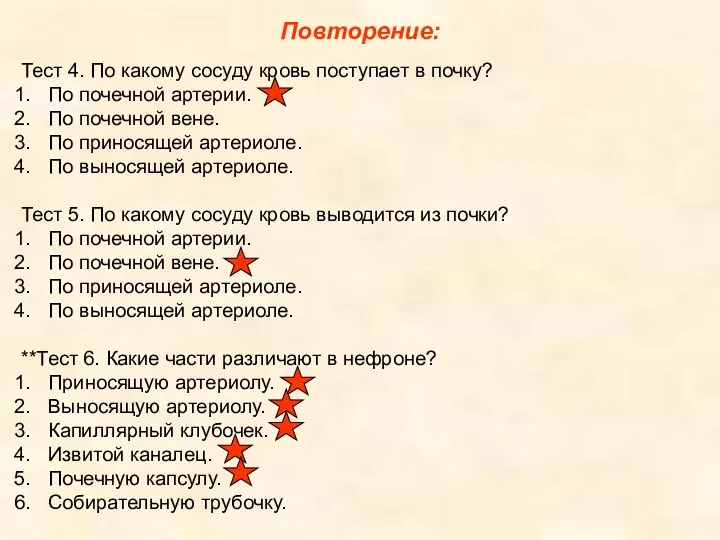 Повторение: Тест 4. По какому сосуду кровь поступает в почку?