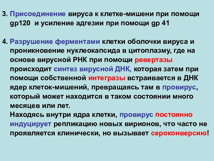 3. Присоединение вируса к клетке-мишени при помощи gp120 и усиление