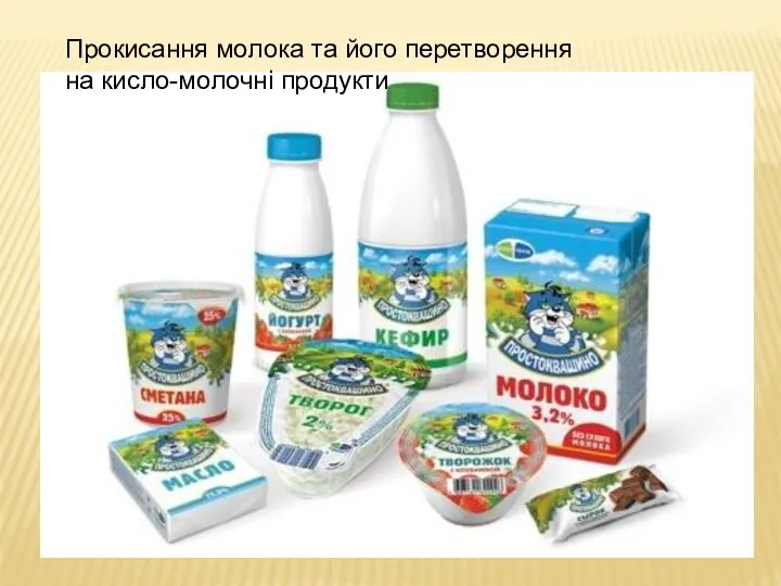 Прокисання молока та його перетворення на кисло-молочні продукти