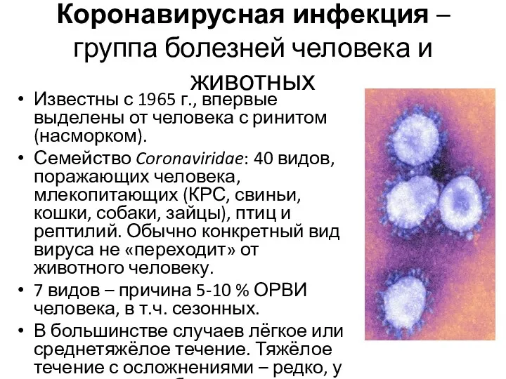 Коронавирусная инфекция – группа болезней человека и животных Известны с