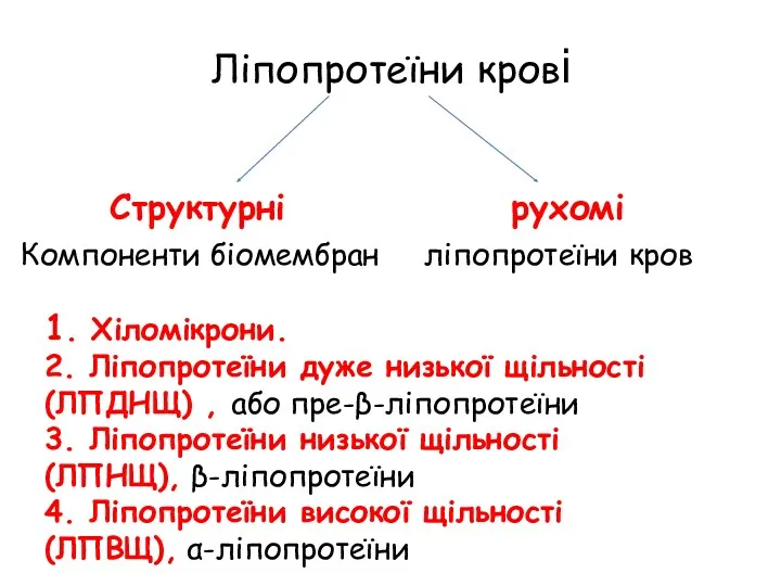 Ліпопротеїни крові Структурні рухомі Компоненти біомембран ліпопротеїни кров 1. Хіломікрони.