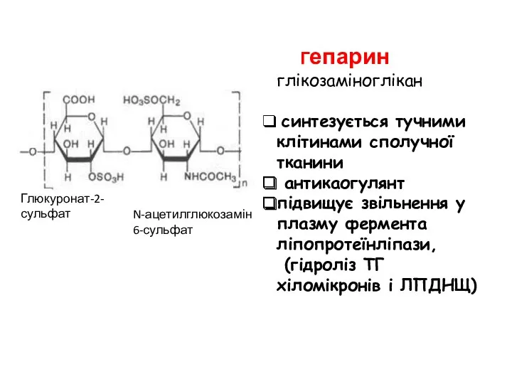 Гепарин глікозаміноглікан синтезується тучними клітинами сполучної тканини антикаогулянт підвищує звільнення