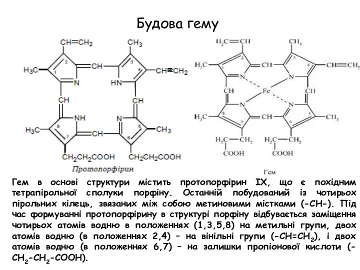 Будова гему Гем в основі структури містить протопорфірин IX, що
